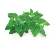 Click & Grow Smart Garden refill Catnip 3pcs | SGR29X3 | 4742793007465 | 92534
