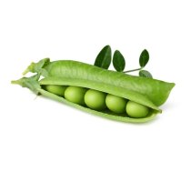 Click & Grow Smart Garden refillrf Pea 3pcs | SGR54X3 | 4742793008998 | 96408
