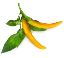 Click & Grow Smart Garden refill Yellow Chili 3pcs | SGR60X3 | 4742793009186 | 101794