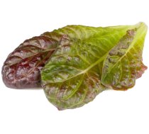 Click & Grow Smart Garden Refill Red romaine lettuce 3pcs | SGR94X3 | 4742793003672 | 237190
