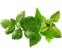 Click & Grow Plant Pod Basil Variety Mix 9pcs | PPMBVX9 | 4742793002552 | 254637