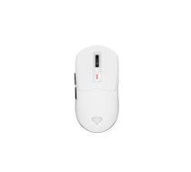 GENESIS Zircon 660 (NMG-2192) | NMG-2192 | 5901969444834