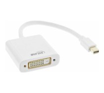 AV InLine DisplayPort Mini - DVI-D  (17194K) | 17194K  | 4043718290505