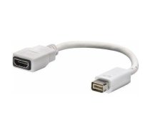 AV Lindy DVI Mini - HDMI  | 4002888410014  | 4002888410014