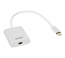 USB InLine USB-C - miniDisplayPort (64105S) | 64105S | 4043718271207