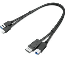 USB Lenovo Lenovo ThinkStation mDP + USB-A 3.0 to DP + USB-B 3.0 Dual Head Cable 0.43 m | 4X91D11453  | 195892017134