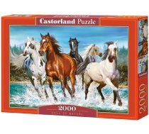 CASTORLAND Puzzle 2000 "Call of Nature" 290188 | 290188  | 5904438200702