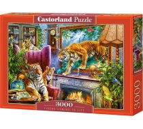 CASTORLAND Puzzle 3000 "Tigers Coming to Life" 341380 | 341380  | 5904438300556