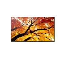 Sharp Display MultiSync M322 32-inch 24/7 | PNM322 | 4550556176682 | ULSHA032LM32200