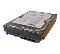 Dysk serwerowy Dell 1TB 3.5'' SATA III (6 Gb/s)  (FNW88) | FNW88  | 5712505471401