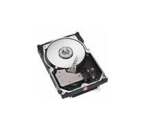 Dysk serwerowy IBM 1TB 2.5'' SATA III (6 Gb/s)  (81Y9730) | 81Y9730  | 883436119122