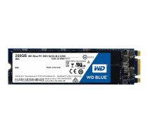 Dysk SSD WD Blue 250GB M.2 2280 SATA III (WDS250G1B0B) | WDS250G1B0B  | 0718037852928