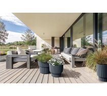 FLOWER POT MILLY DBMLR300-S433 | DBMLR300-S433 | 5905197567907