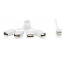HUB USB Digitus Spider 4x USB-A 2.0 (ADA70216) | ADA70216  | 4016032284062