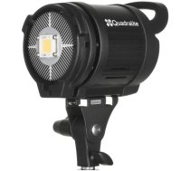 Quadralite continuous light VideoLED 600 |   | 5901698713621 | 253614