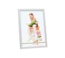 Deknudt S44CD1 13x18 Silver | S44CD1 13X18 | 5412065541162 | 141710