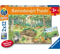 Ravensburger Ravensburger Why? For what reason? Why? Animals in the forest and on the meadow, jigsaw puzzle (2x 12 parts, with knowledge poster) | 05673  | 4005556056736