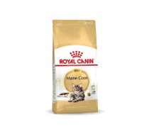ROYAL CANIN FBN Maine Coon Adult dry cat food - 10kg | AMABEZKAR1054 | 3182550710664 | AMABEZKAR1054