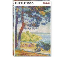 Teka Puzzle 1000 Cross, Po połuw Pardigon PIATNIK | 618357  | 9001890570247