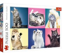 Trefl Puzzle 500 | 363618 | 5900511373776
