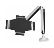 StarTech TABLET STAND F. DESK | ARMTBLTIW  | 0065030872720