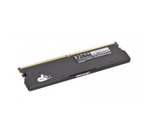 Patriot Premium Black DDR5 12GB 5600MHz Radiator 1Rank