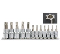 Uzgaļu komplekts TORX 12gab ar urbumu T8 T10 T15 T20 T25 T27 T30 T40 1/4 3/8 YATO YT-04332