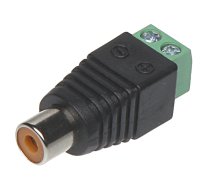 LIGZDA CINCH-G/S*P10