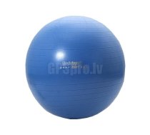 CHRISTOPEIT Fitness Gymnastic ball, 75 cm/1.3 kg (blue) sporta bumba