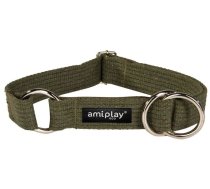 Kaklasiksna suņiem Amiplay, zaļa krās., 340 - 550 mm x 30 mm