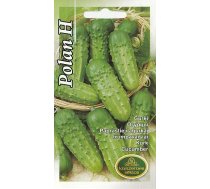 Sēklas Kurzemes sēklas, gurķi Polan H, 1 g