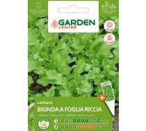 Sēklas Garden Center, salāti BIONDA A FOGLIA RICCIA GREEN, 2 g