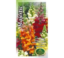 Sēklas Kurzemes sēklas lauvmutītes Majestic Seeds, 4 g