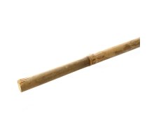 Auga atbalsts Garden Center, 150 cm, bambusa šķiedras, gaiši brūna