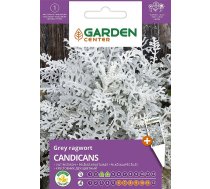 Sēklas Garden Center pelēklapu krustainis Candicans, 0.2 g