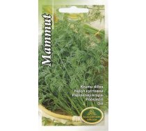 Sēklas Kurzemes sēklas dilles Dill Mammut, 8 g
