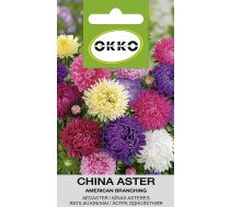 Sēklas Okko ķīnas astere American Branching, 0.5 g