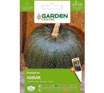 Sēklas Garden Center, ķirbis Ambar, 2 g