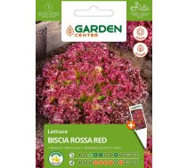 Sēklas Garden Center, salāti BISCIA ROSSA RED, 2 g