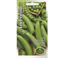 Sēklas Kurzemes sēklas, zirņi Ambrosia, 15 g