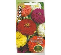 Sēklas Kurzemes sēklas cīnijas Zinnia Choise, 4 g