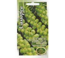 Sēklas Kurzemes sēklas, kāposti Casiopea, 2 g