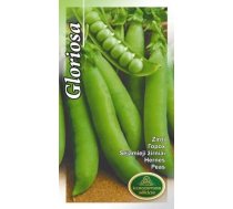 Sēklas Kurzemes sēklas, zirņi Peas Gloriosa, 15 g
