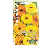 Sēklas Kurzemes sēklas klinģerītes Calendula Seeds, 5 g