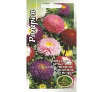 Sēklas Kurzemes sēklas asteres Pompon, 0.5 g