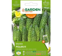 Sēklas Garden Center, gurķi Polan H, 1 g