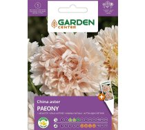 Sēklas Garden Center ķīnas astere Paeony, 0.5 g