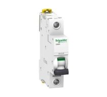 Automātisks slēdzis Schneider Electric IC60N, 1P, C, 10kA, 16 A