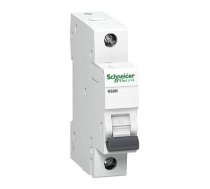 Automātisks slēdzis Schneider Electric K60N, 1P, B, 6kA, 10 A