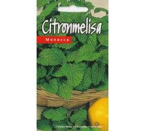 Sēklas melisas Lemon Balm, 3 g